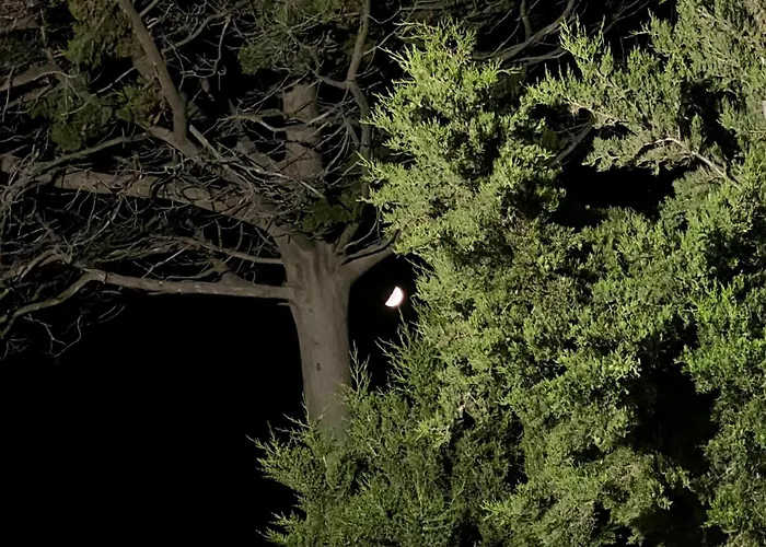 Casa de Férias Petromilos1920 Zefiría